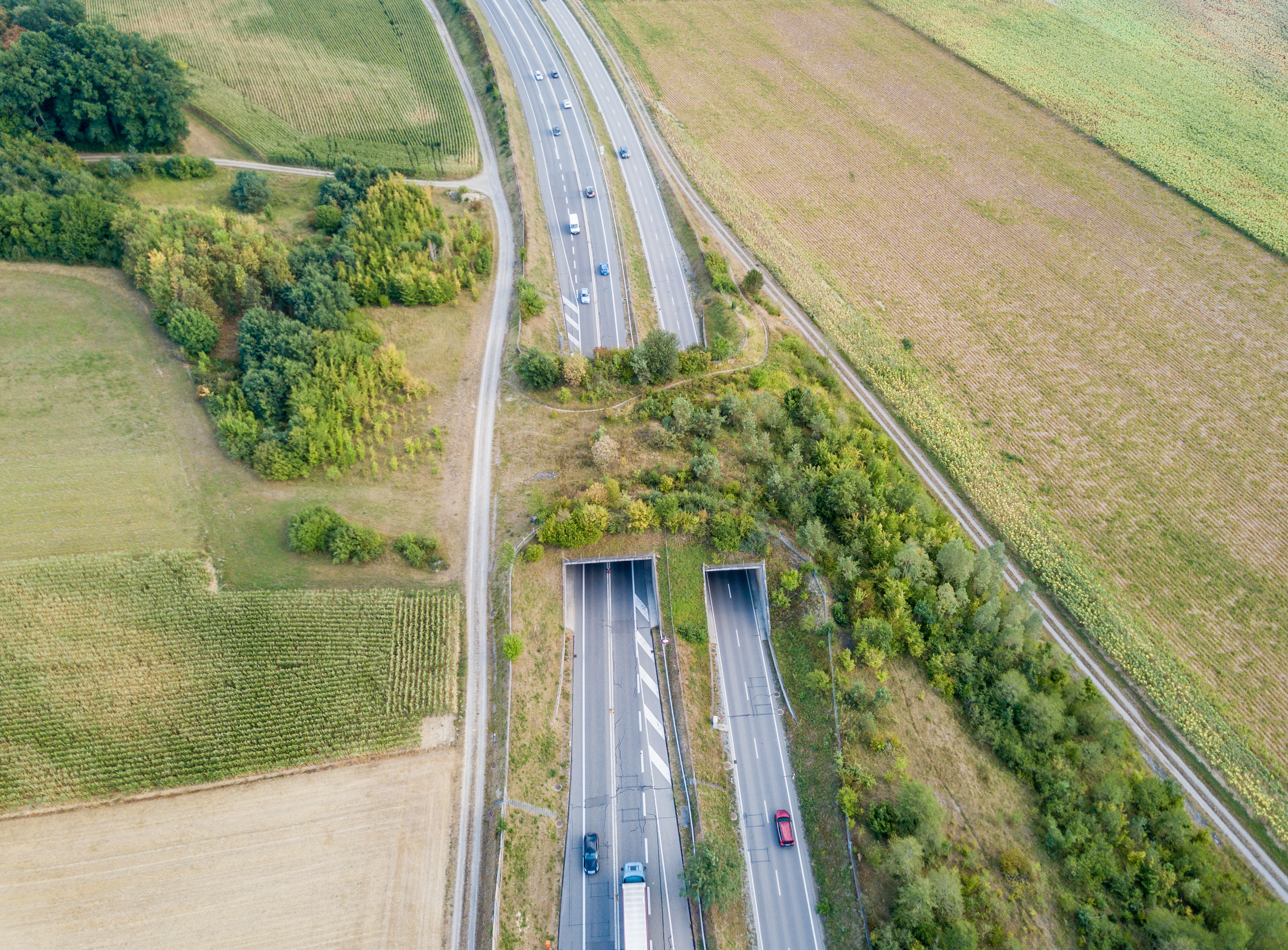 béton facilitateur des déplacements de la faune